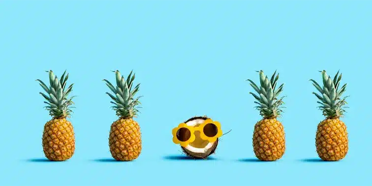 Pineapples wearing sunglasses against a bright blue background, symbolising fun and creativity in website design.