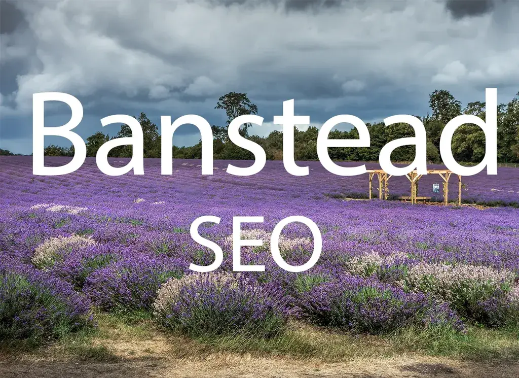 Banstead SEO artwork with the location and service name over a background photograph.